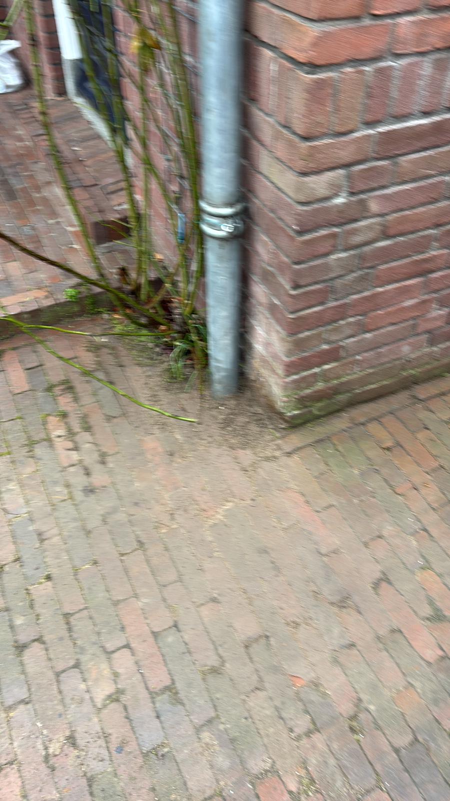 Hemelwaterafvoer (HWA) project 3 in Utrecht